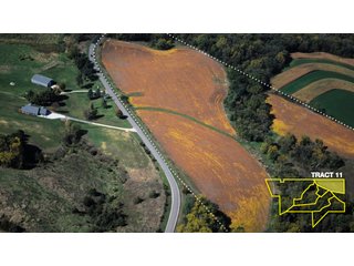 Property photo 38 - 1,153 +/- Acres offered in 15 TractsLAND AUCTION